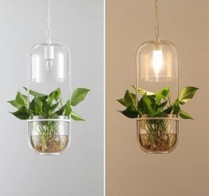 Water Plants Glass Pendant Light