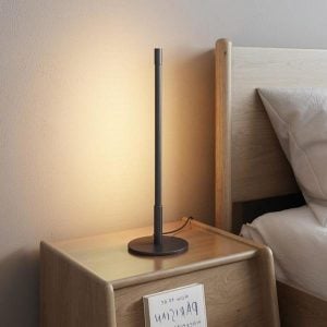 Linear LED Floor/Table lamp